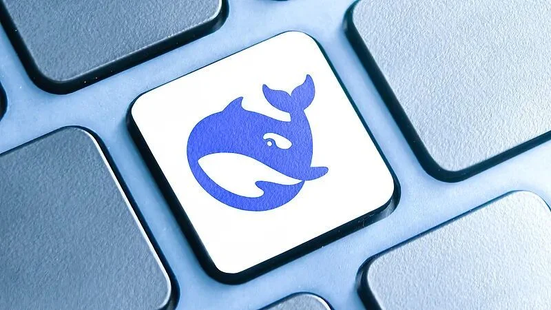 DeepSeek api开放平台规格三栏Schema与中文分词优化